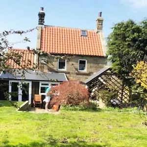  Holiday home Swang With Optional Hot Tub